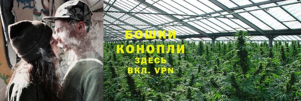 трава Аркадак
