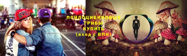 каннабис Арсеньев