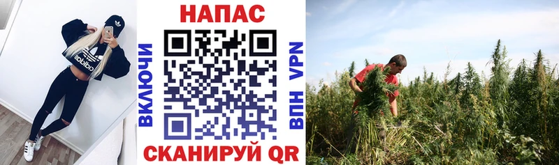 Бошки марихуана White Widow  hydra сайт  shop клад  купить наркоту  Покров 